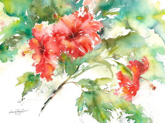 Three Red Hibiscus Original Watercolor