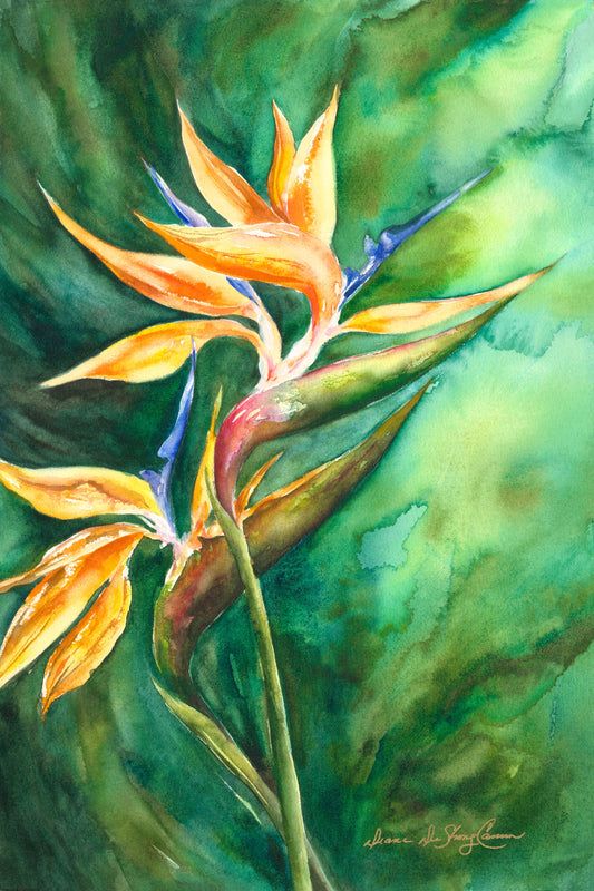 Bird of Paradise Fine Art Print