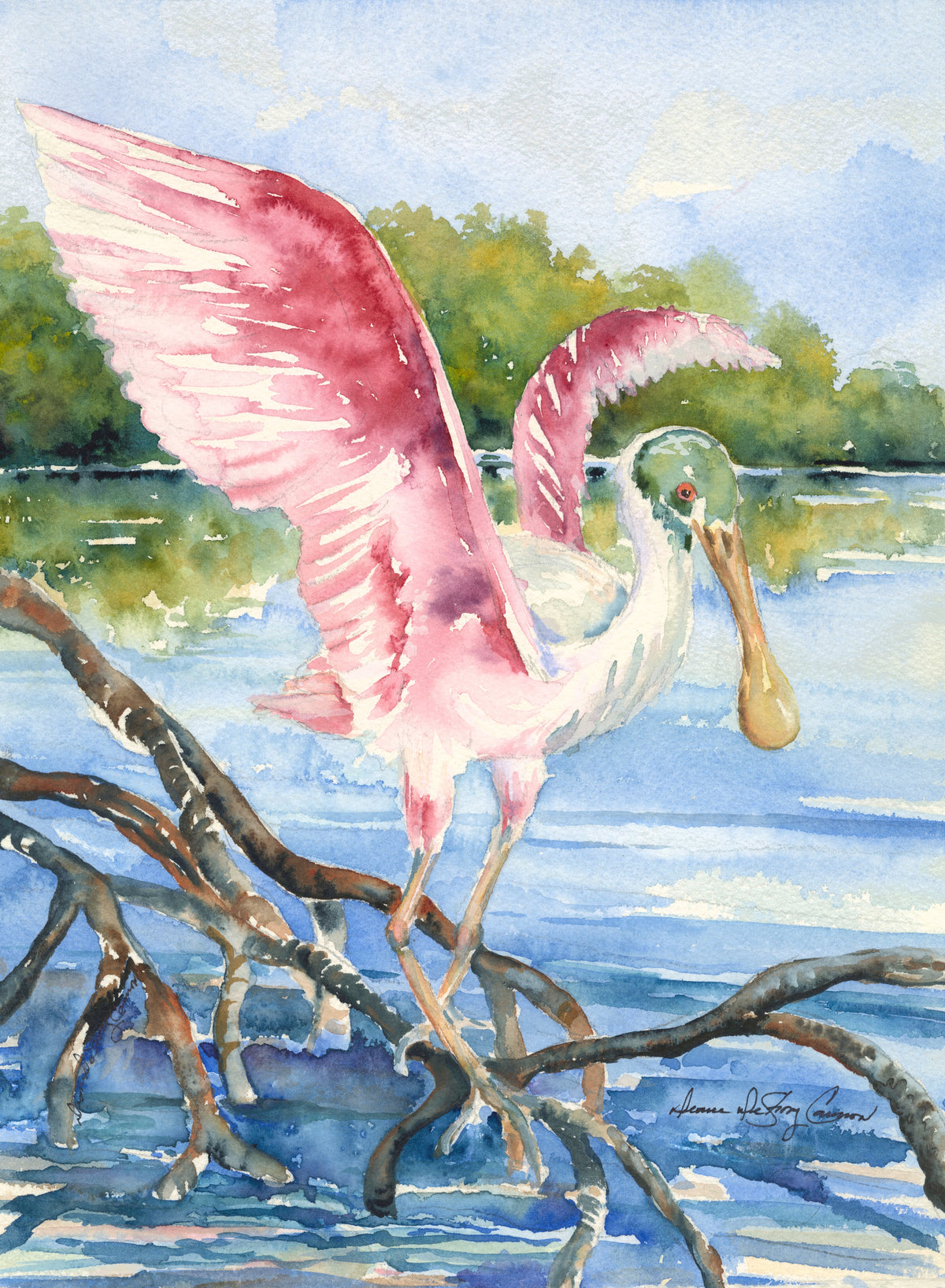 Rosetta Spoonbill Wings Up Fine Art Print